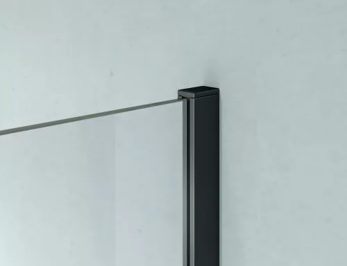 Walk-in, Aquatrend Walk-in W10-120 BLACK 120x200