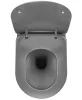 WC, Deante Peonia fali Wc csésze, perem nélküli, antracit/titanium CDE_DZPW