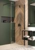 Walk-in, Deante Kerria Plus zuhanyfal 100 cm, fekete KTS_N30P