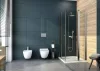 WC tető, Deante Anemon slim, soft-close wc ülőke, fehér CDZ_6ZOZ